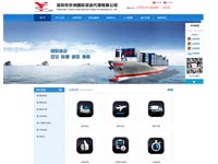 深圳市宇洲國(guó)際貨運(yùn)代理有限公司官網(wǎng)